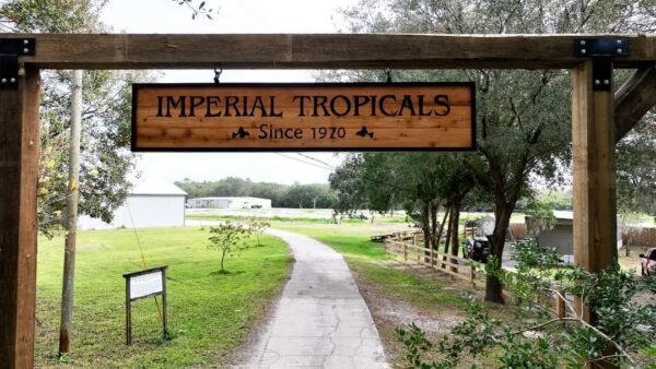 Custom Signage – carved-wood-sign created by Skywatch Signs, featuring world-class craftsmanship and design for businesses in Florida.