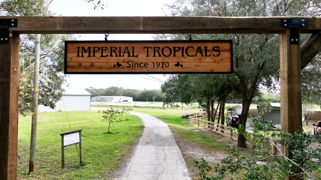 Custom Signage – carved-wood-sign by Skywatch Signs.