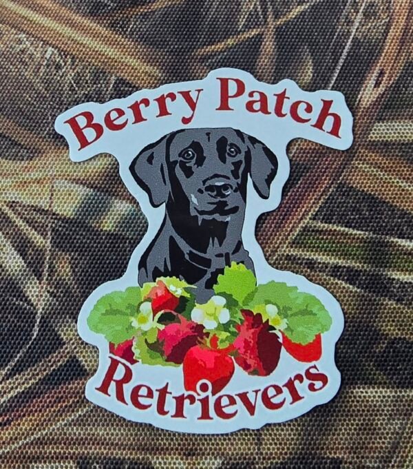 dogs-farm-sign-sample-skywatch-signs
