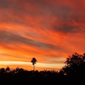Florida sun curtains