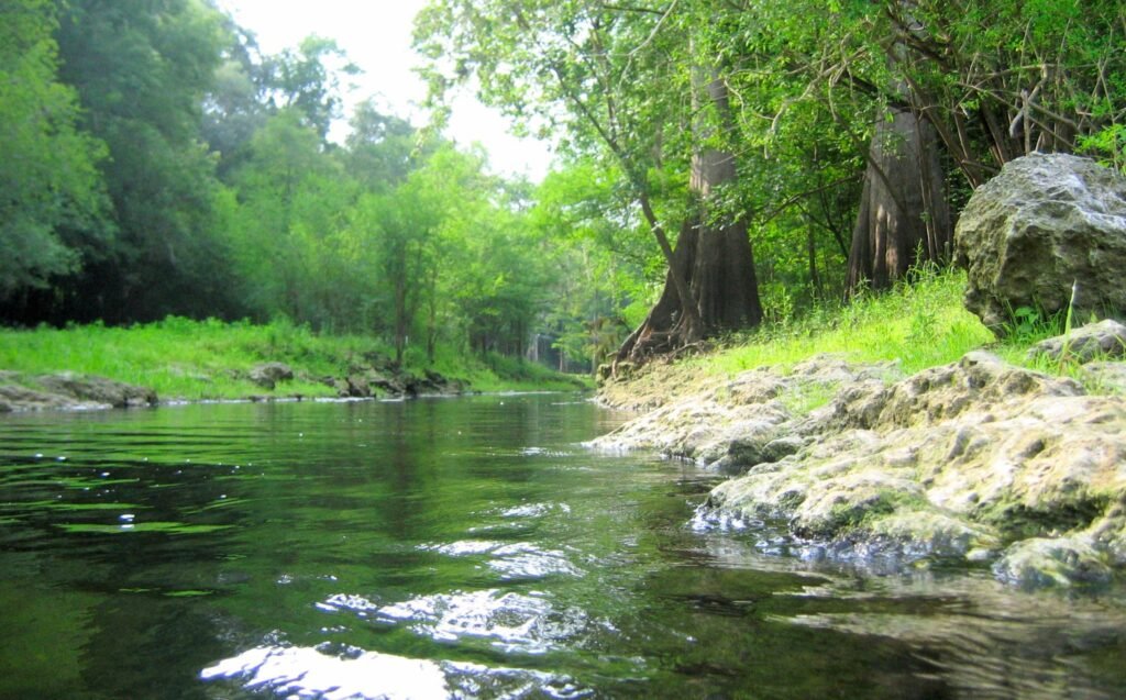 Thermal Window Graphics Florida